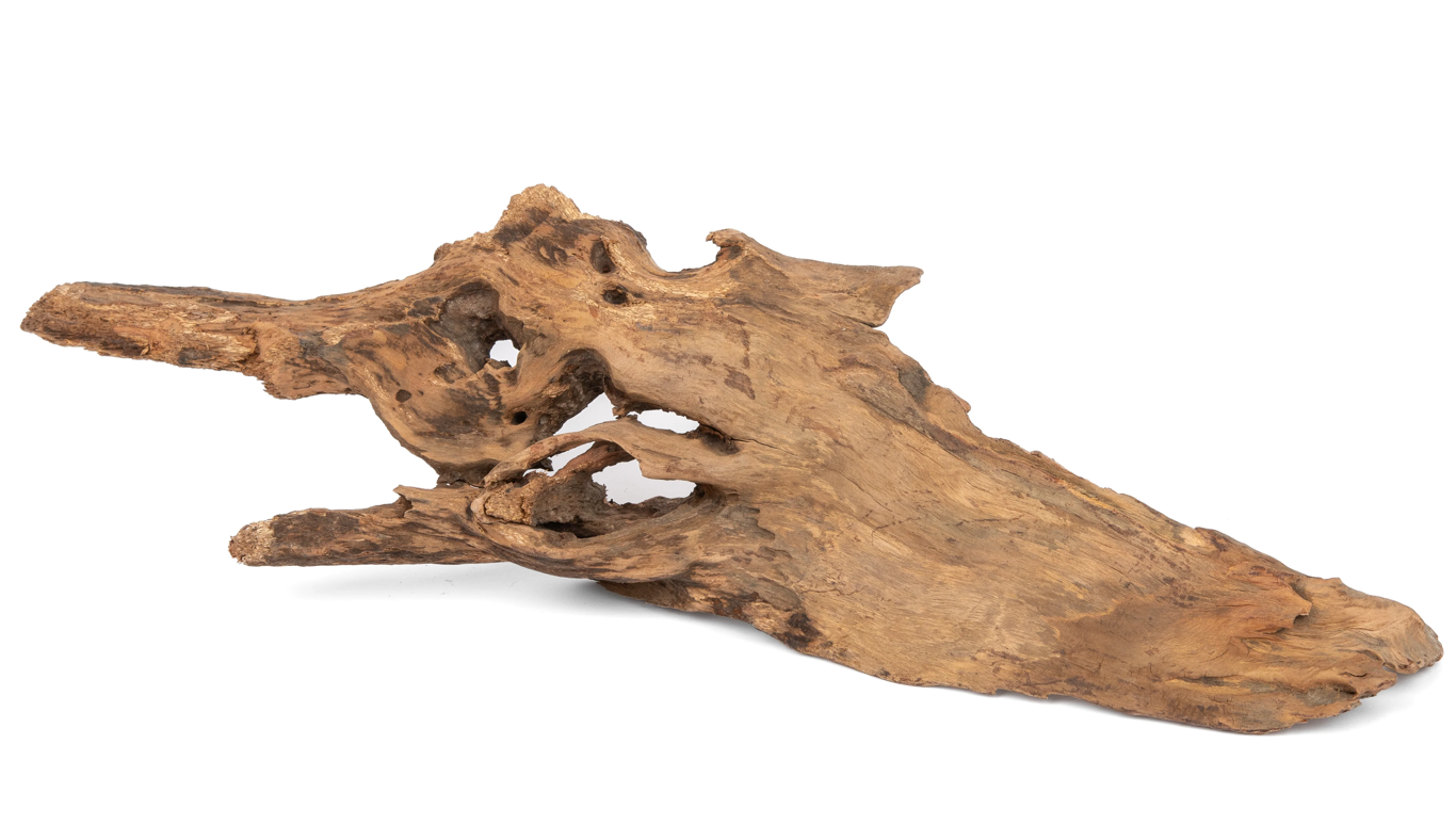 Savage Wood
