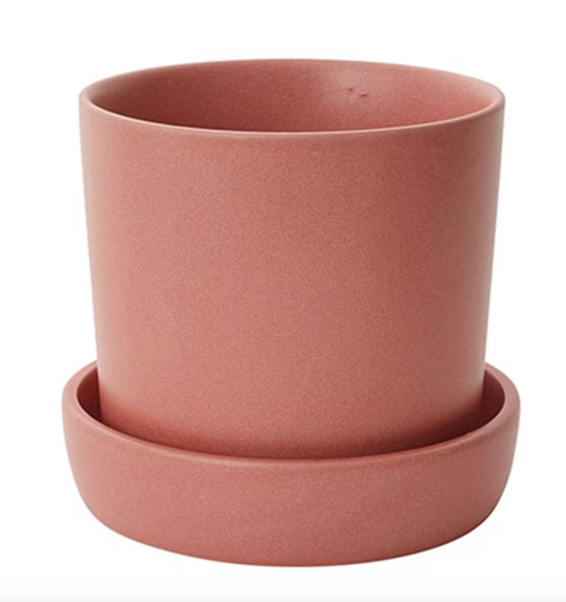 Watson Pot + Saucer