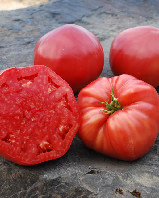 Seeds | Tomatoes Mortgage Lifter Certified Organic