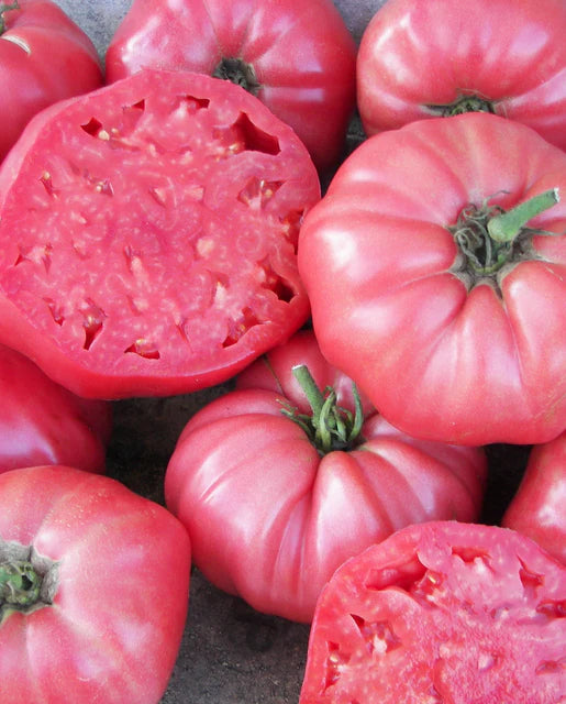 Seeds | Tomatoes Pink Brandywine Certified Organic