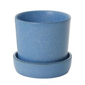 Watson Pot + Saucer