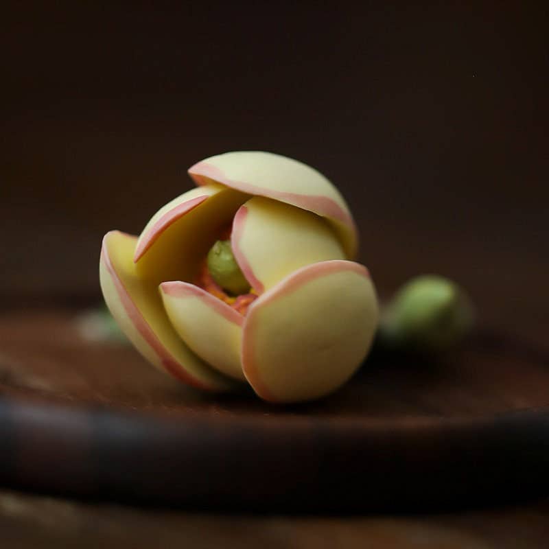 Ceramic Flower Incense Holder Set