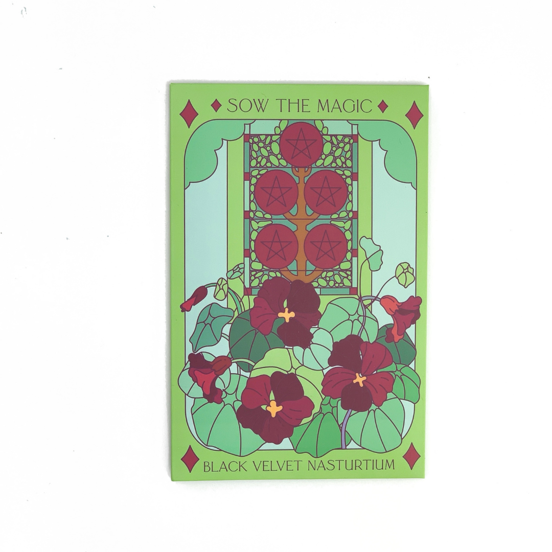 Tarot Card Seeds | Black Velvet Nasturtium