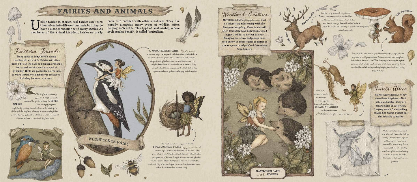 Natural History of Fairies