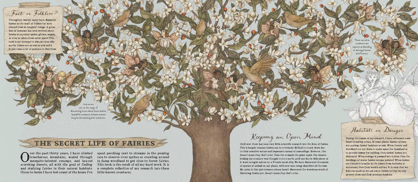 Natural History of Fairies
