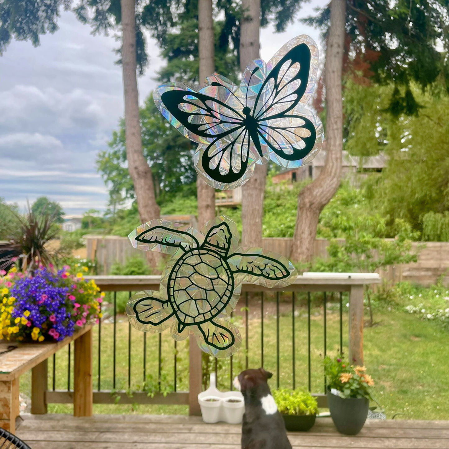 Suncatcher Sticker  Turtle