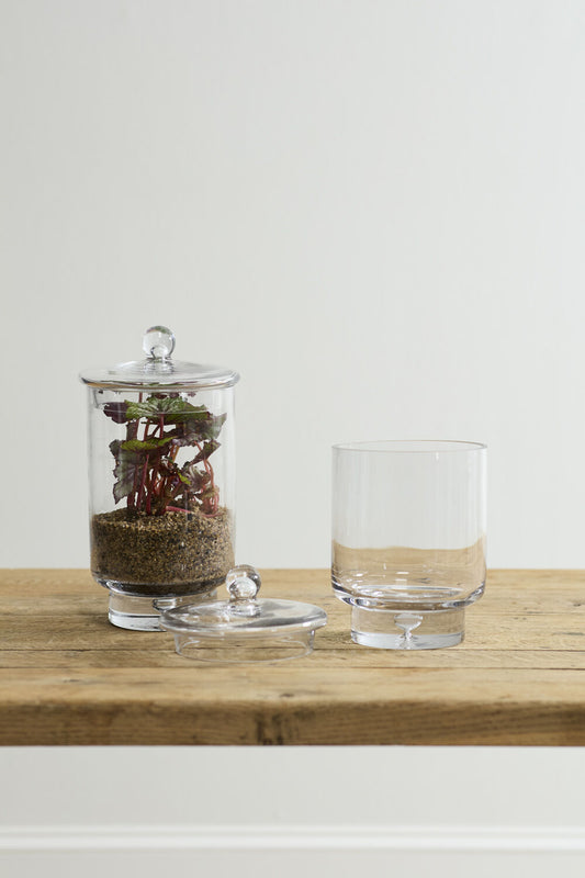 Terrarium Vessels | Asteridge