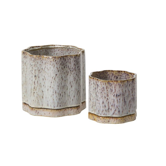 Avenell  Pot + Saucer