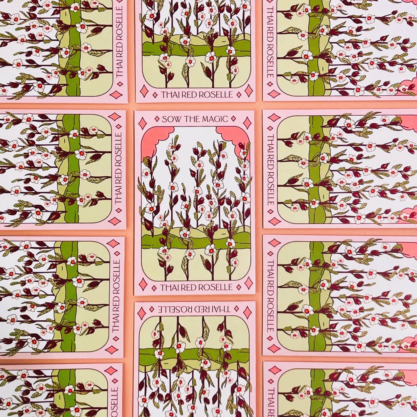Tarot Card Seeds | Thai Red Roselle Hibiscus