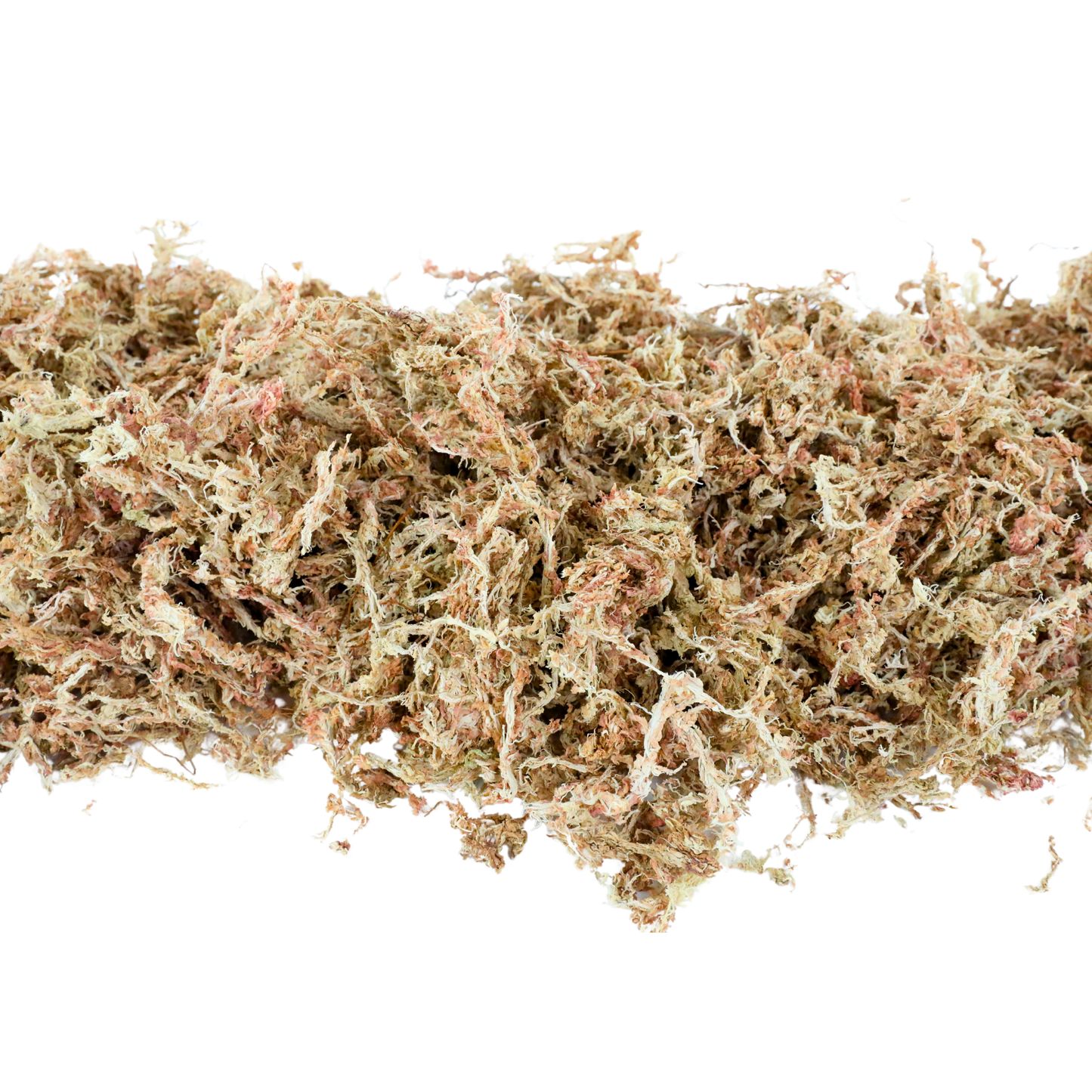 Long Fibre Sphagnum Moss Mossify