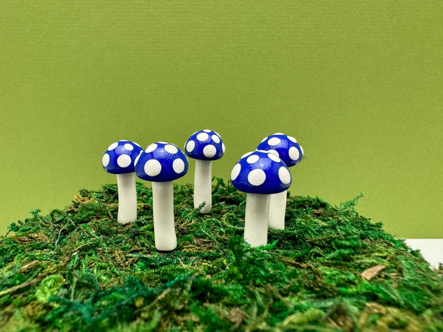 Mini BUTTON Mushroom