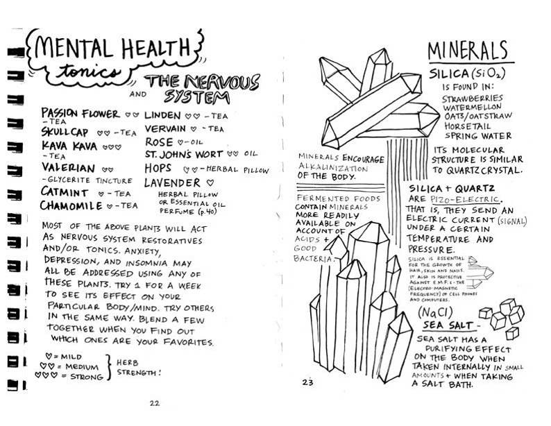 Healing Your Magical Body with Plants & Minerals Zine