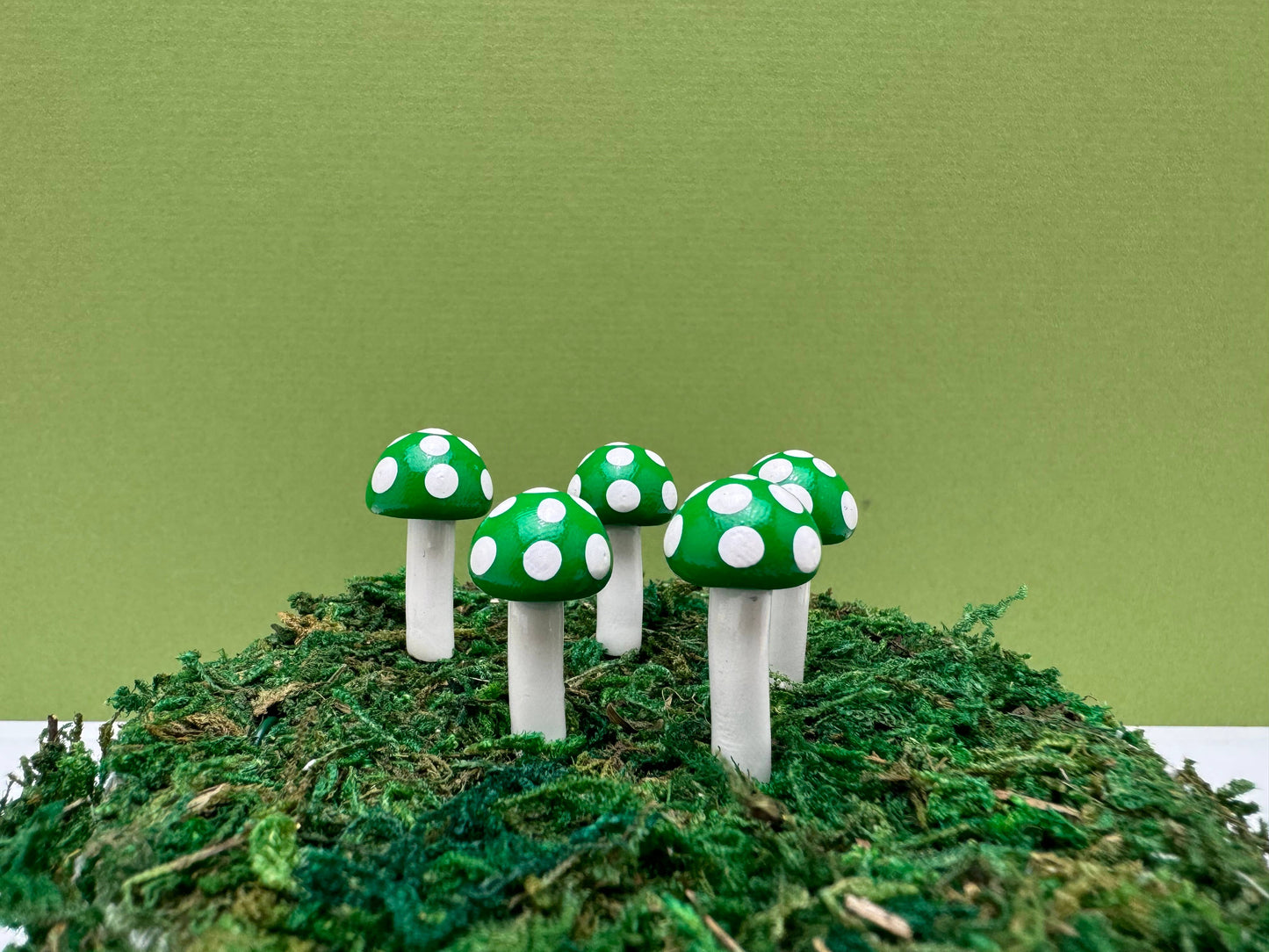 Mini BUTTON Mushroom