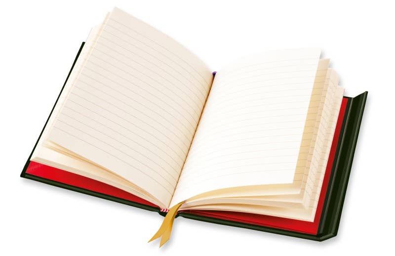 Anna Stead: The Forest Floor Journal