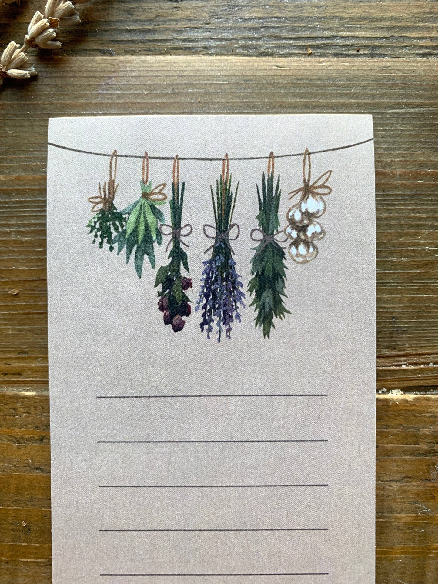 Witch's Herbs  Notepad