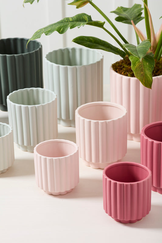 Carmen Pot