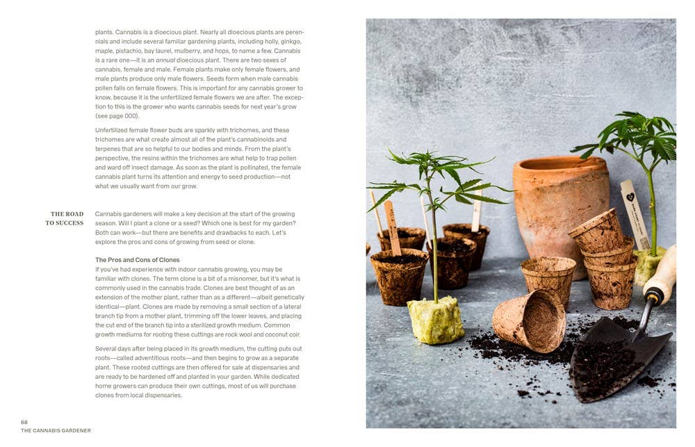 Cannabis Gardener: A Beginner's Guide to Growing