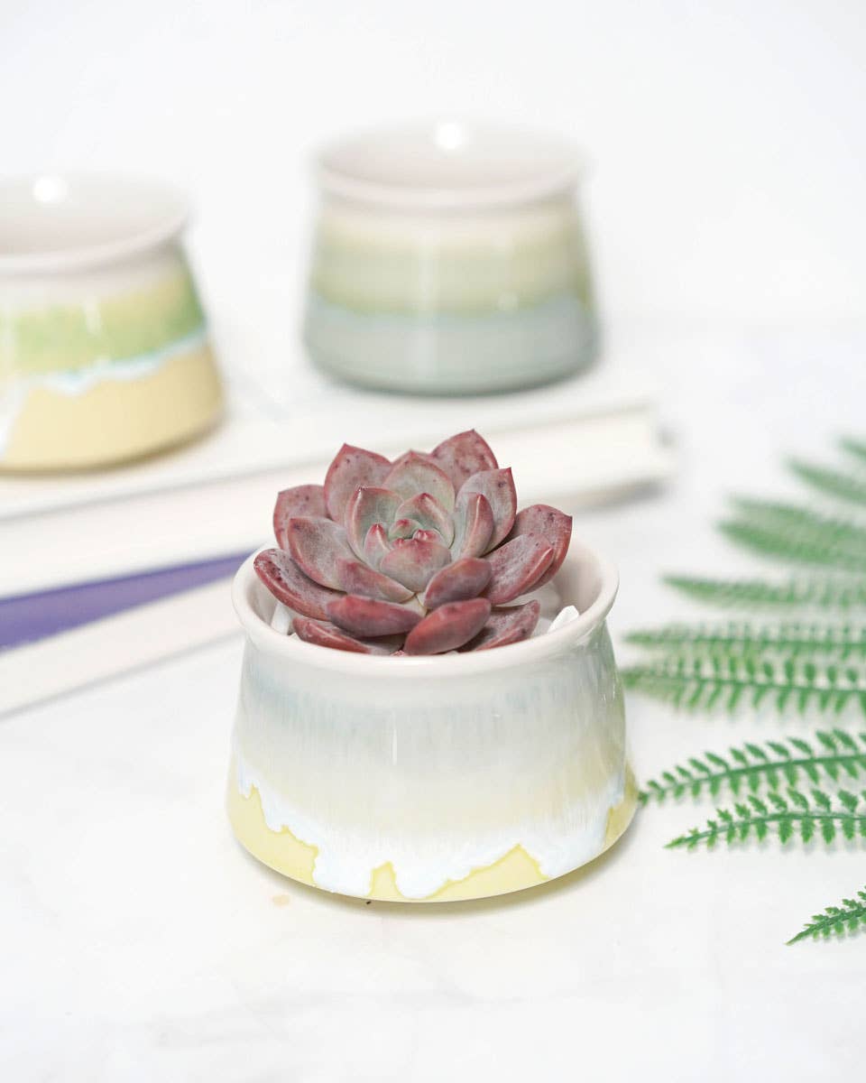 Small Glazed Pot Tricolor