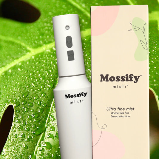 MOSSify | Mister Bottle
