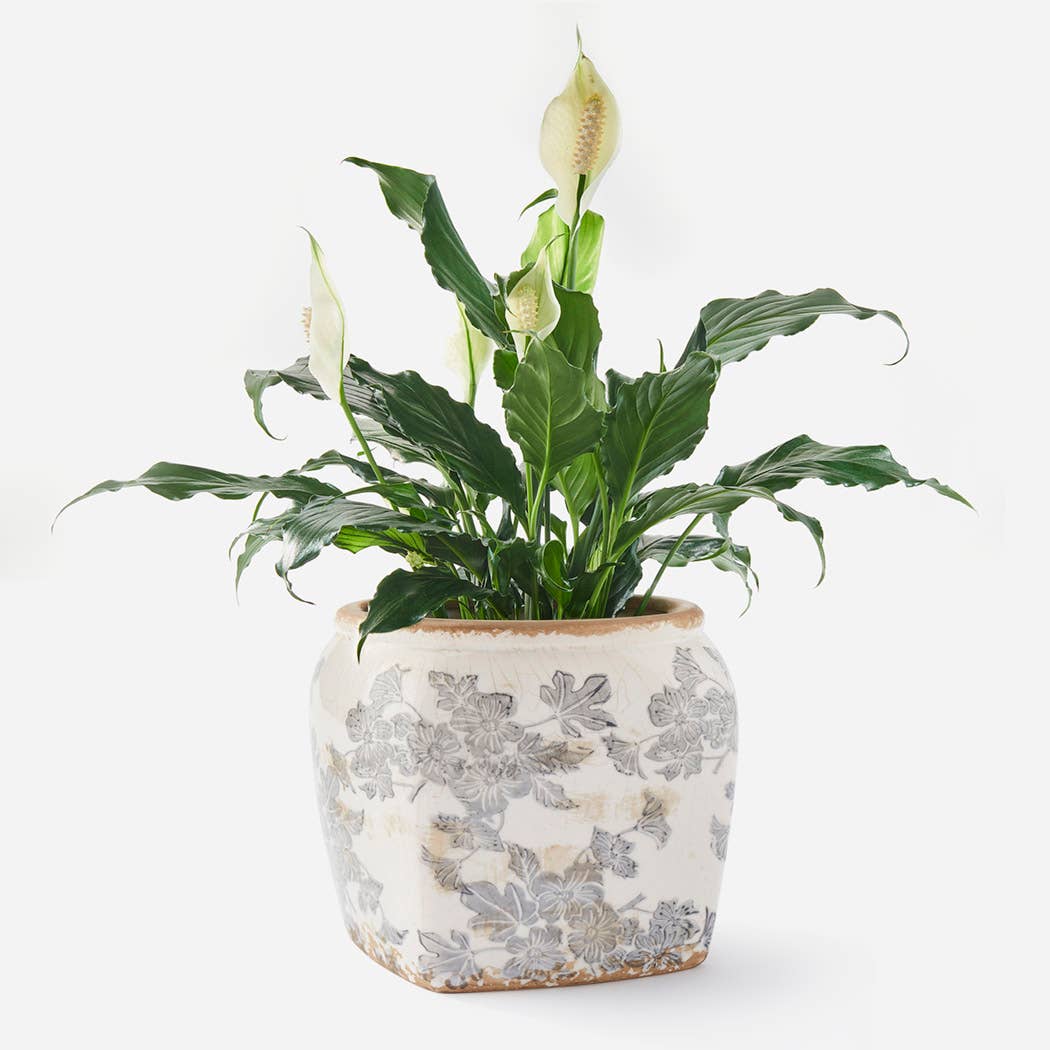Vintage Grey Flowers  Square Pot