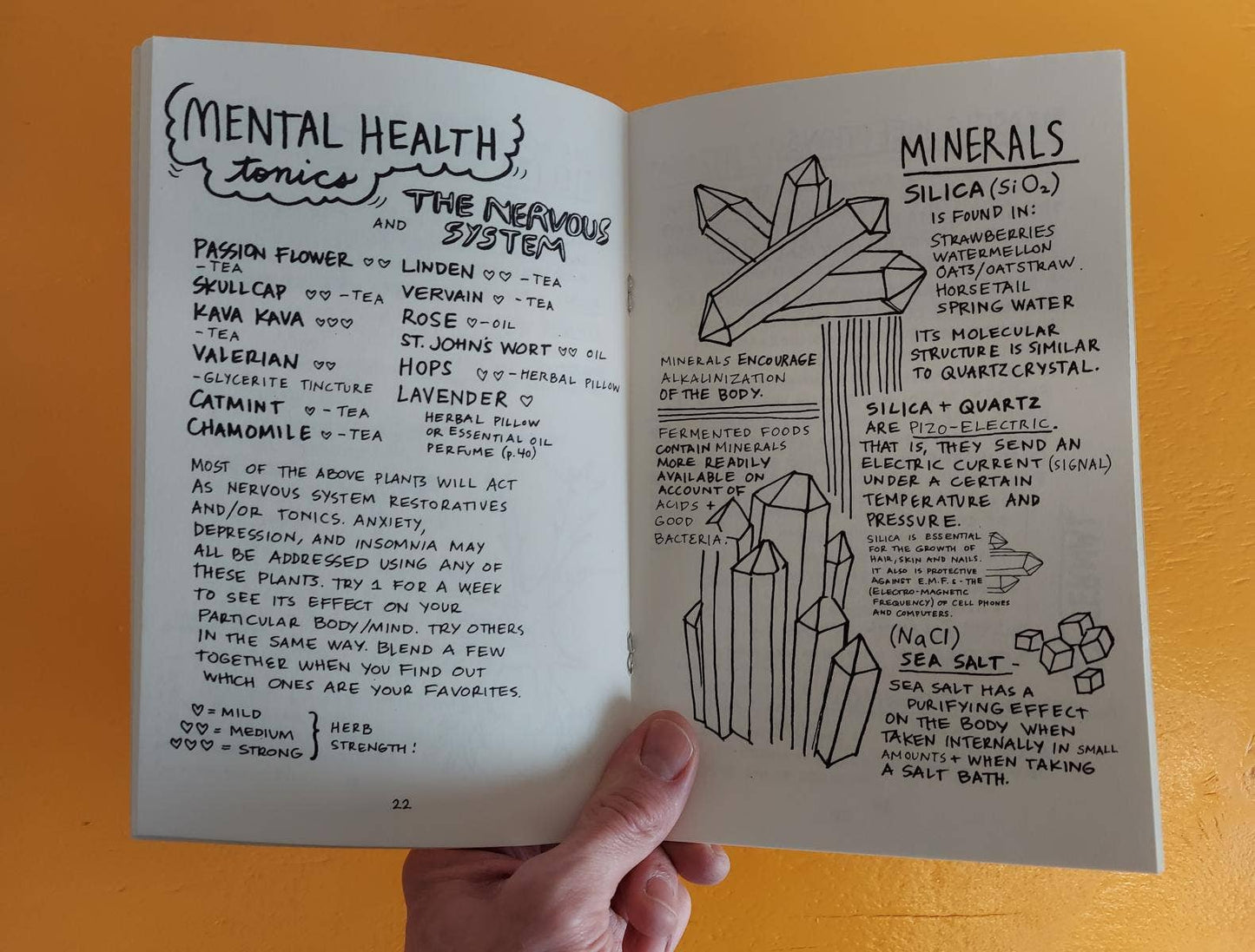 Healing Your Magical Body with Plants & Minerals Zine