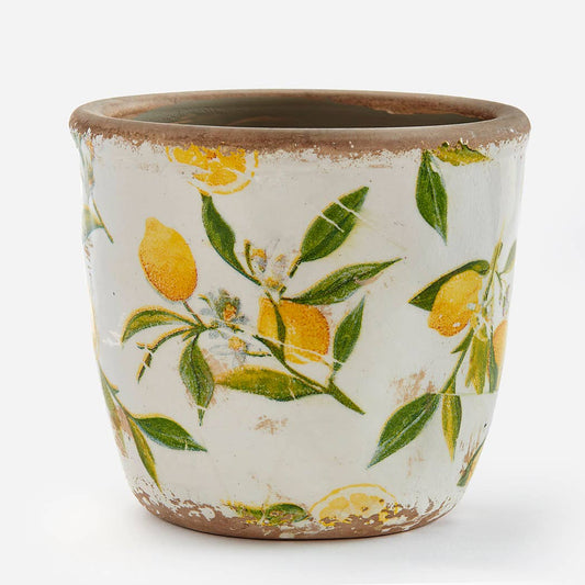 Lemon Plant Pot