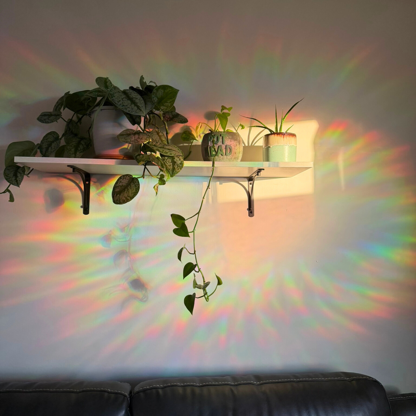 Suncatcher Stickers Forest