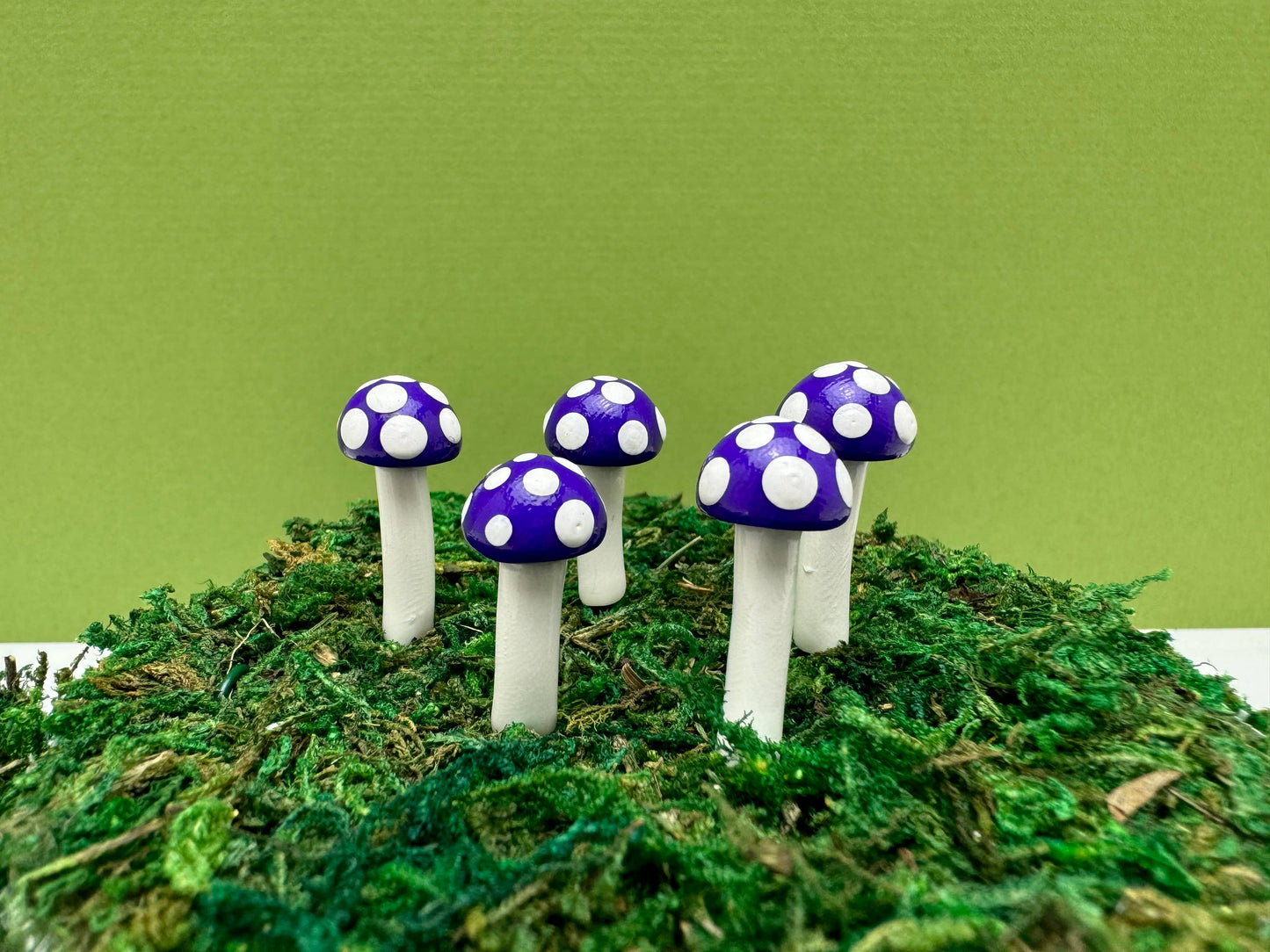 Mini BUTTON Mushroom