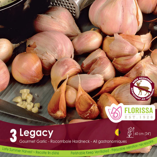 Garlic | Legacy Tops
