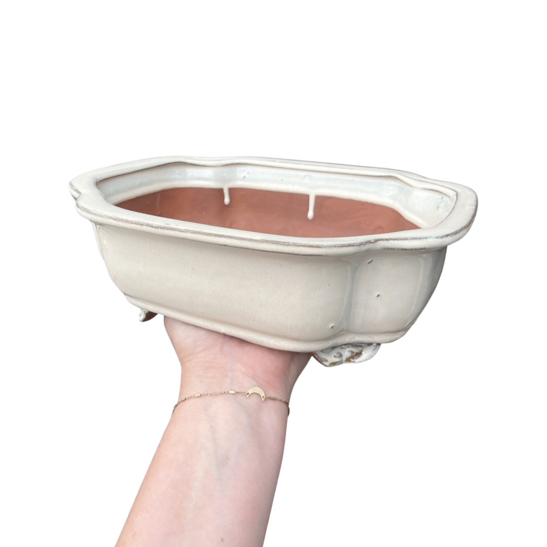 Bonsai Planters Glazed Ceramic