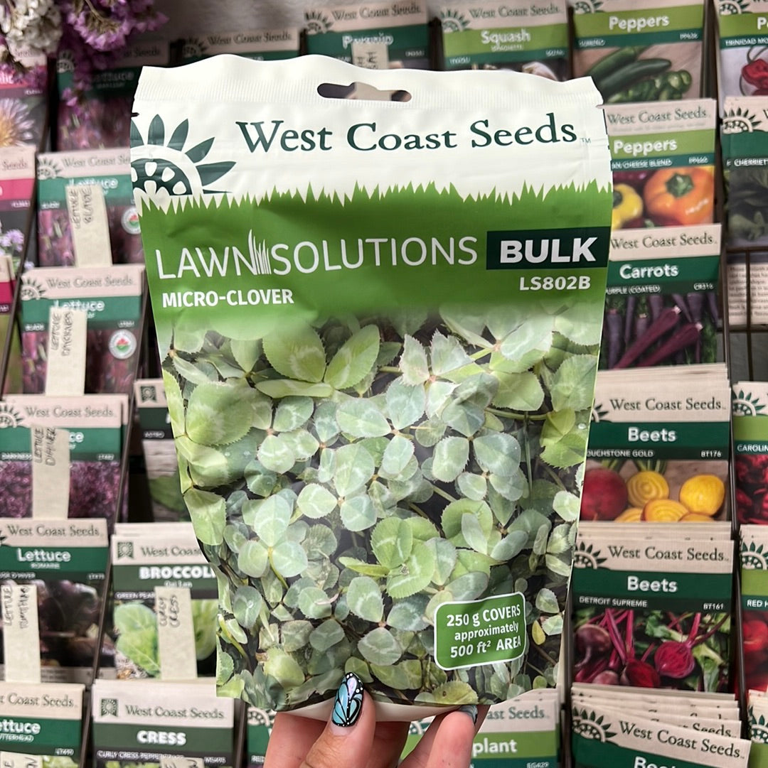Lawn Replacement | Microclover raw