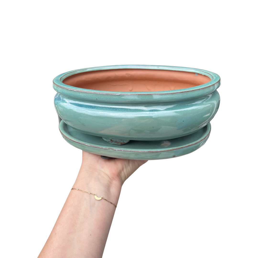 Bonsai Planters Glazed Ceramic