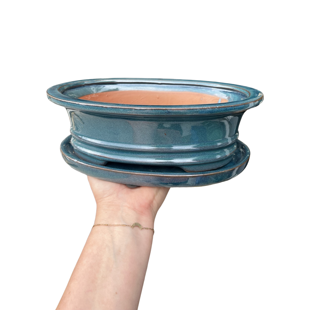 Bonsai Planters 8” Glazed Ceramic