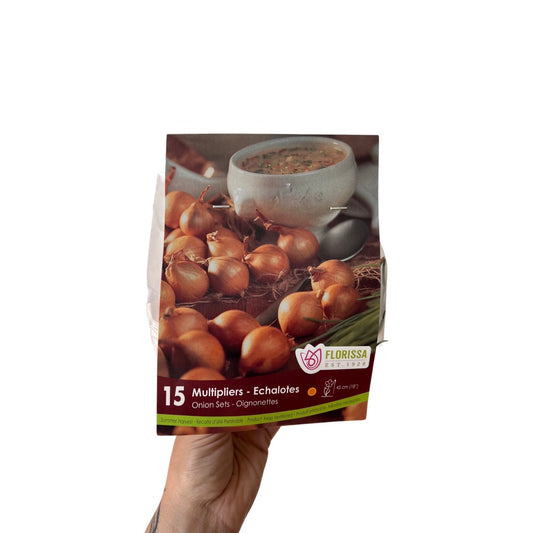 Onion | Multiplier