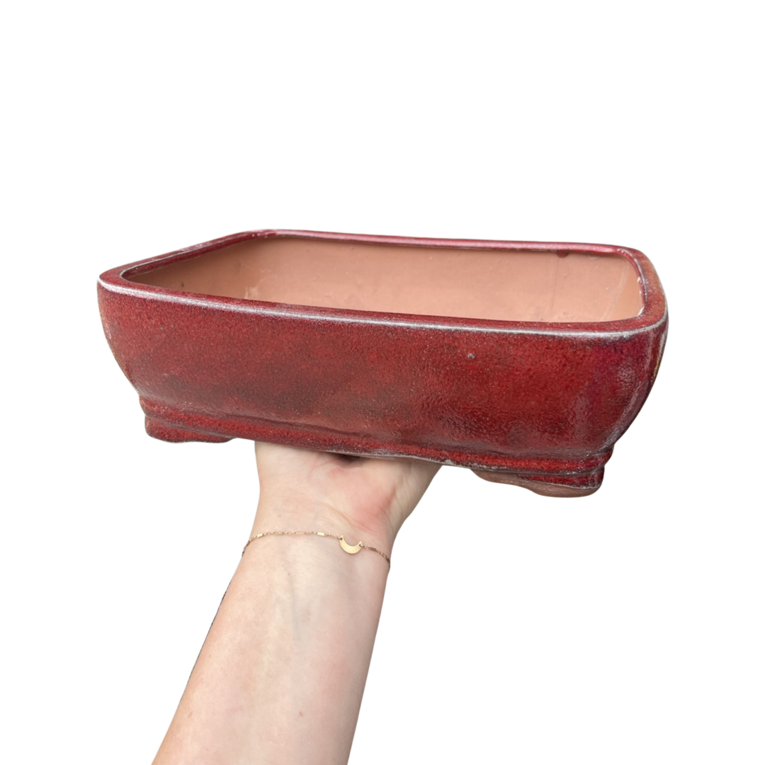 Bonsai Planters Glazed Ceramic