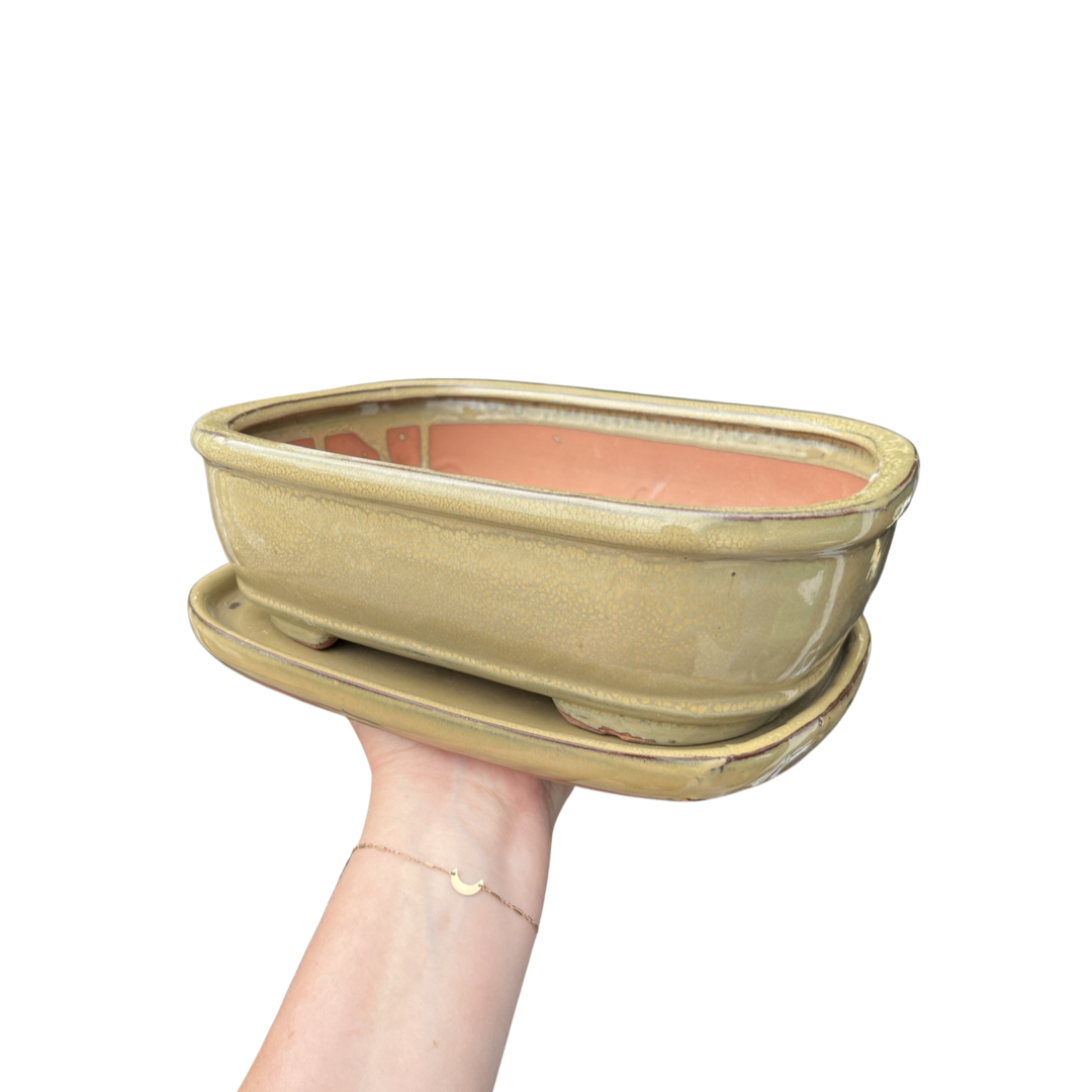 Bonsai Planters Glazed Ceramic