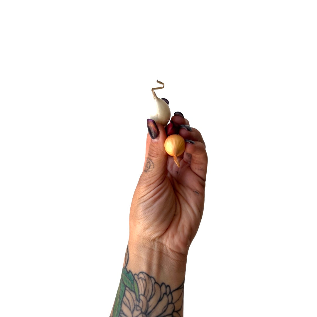 Onion | Savory Mix