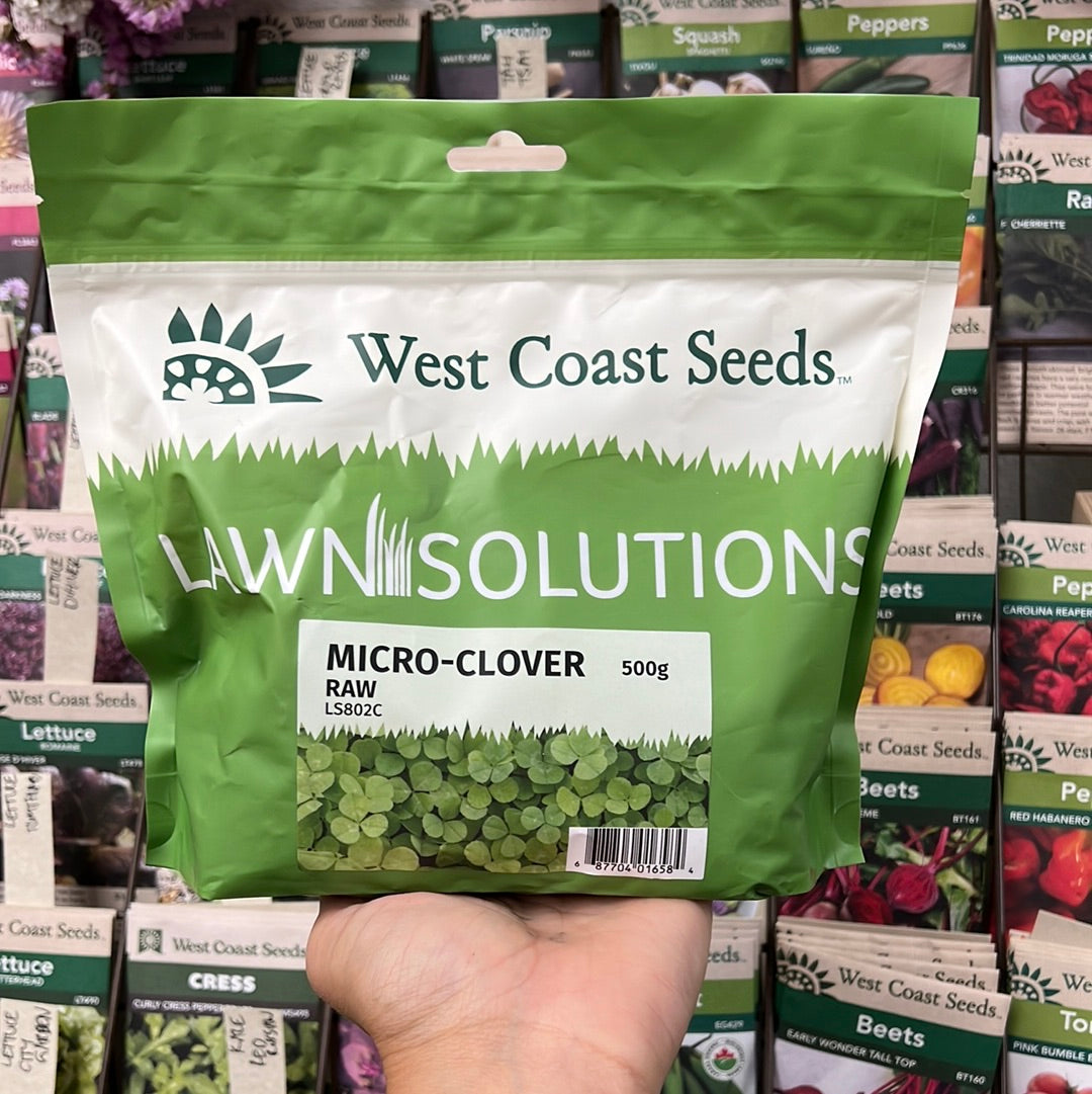 Microclover Roots Microclover raw | Lawn Replacement – The Botanist Calgary