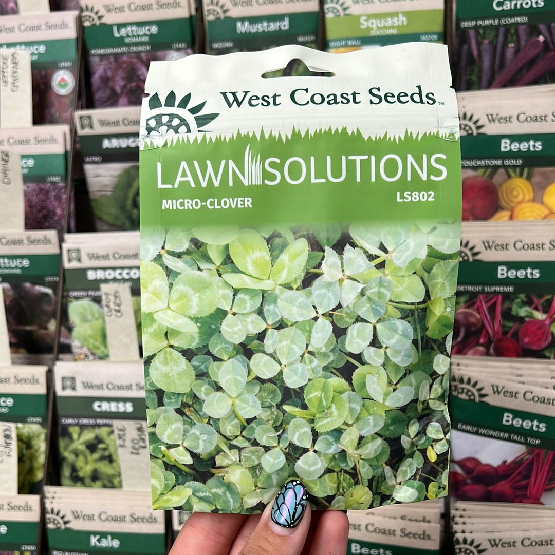Lawn Replacement | Microclover raw