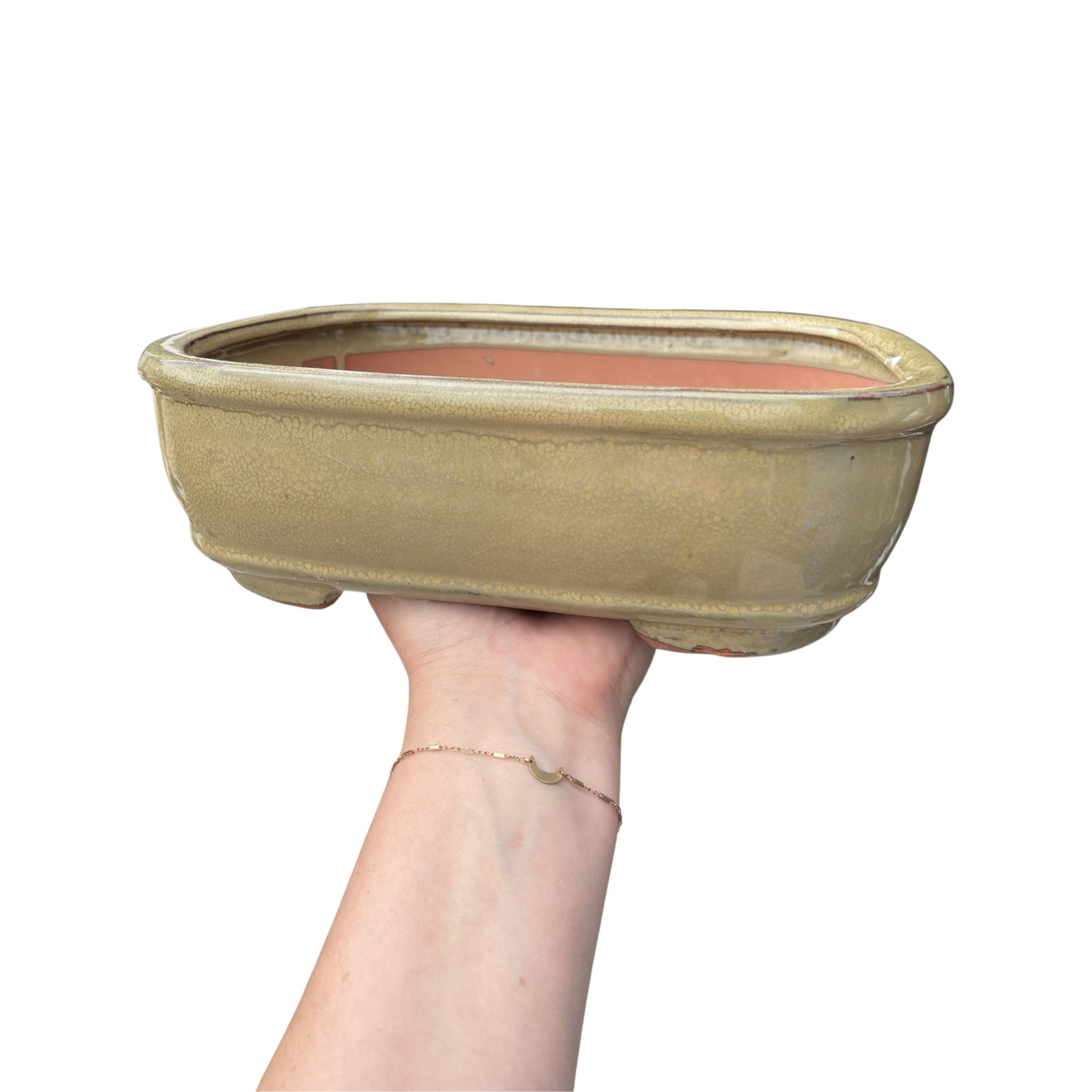 Bonsai Planters Glazed Ceramic