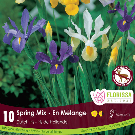 Spring Mix 10pk | Iris