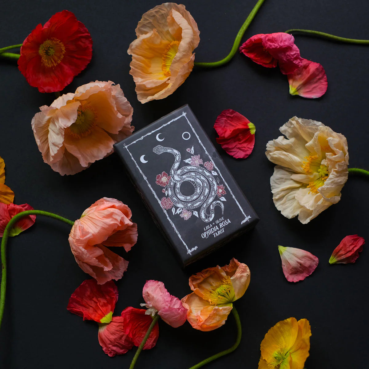 Ophidia Rosa Tarot