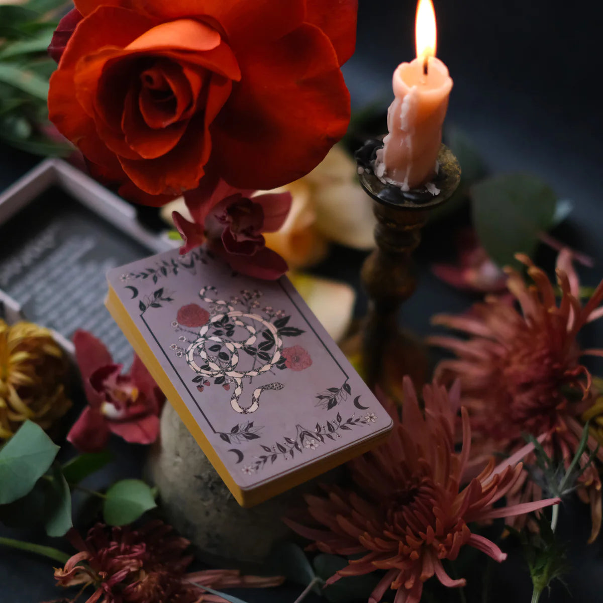 Pythia Botanica Oracle Volume II
