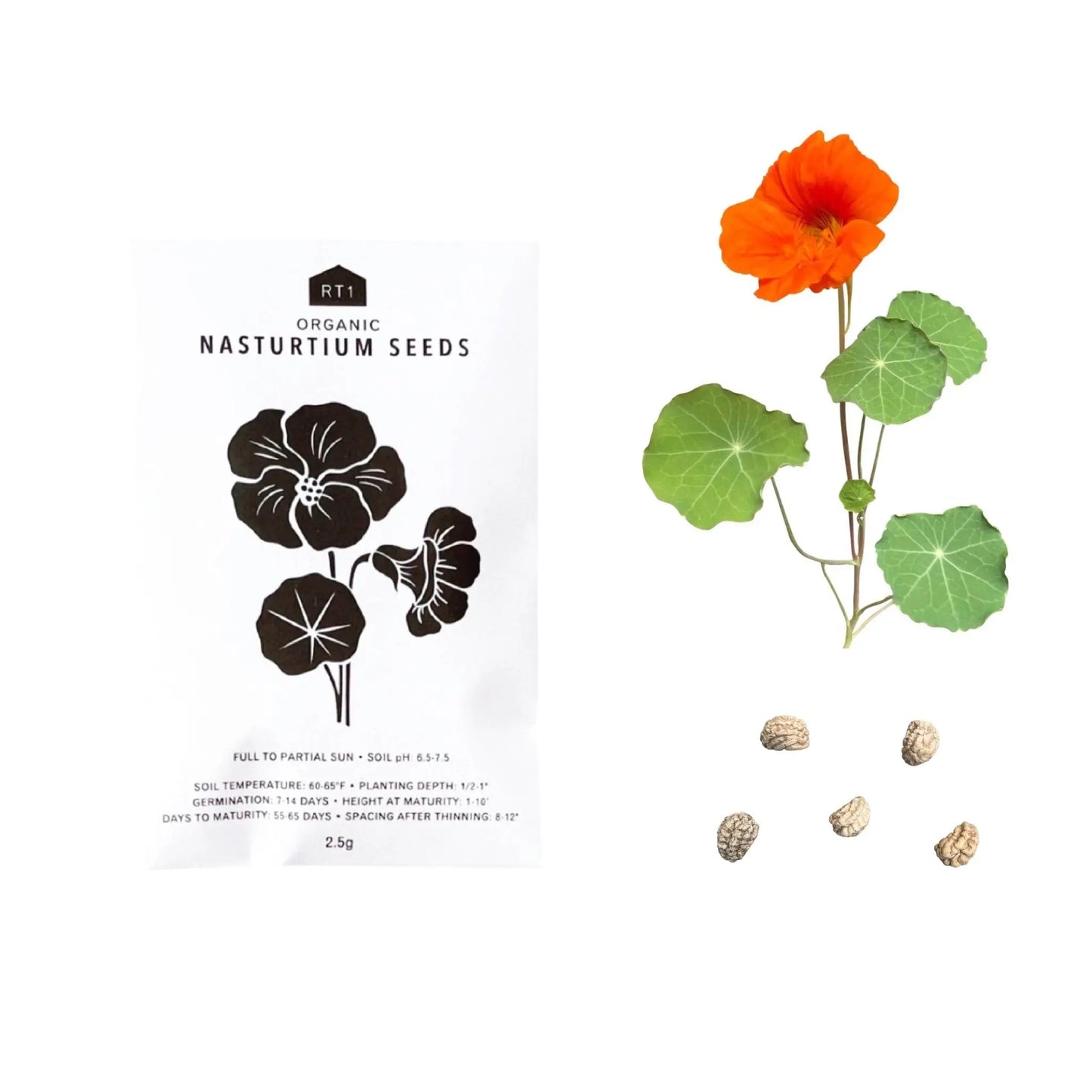 Seeds | EDIBLE FLOWERS 5 PK