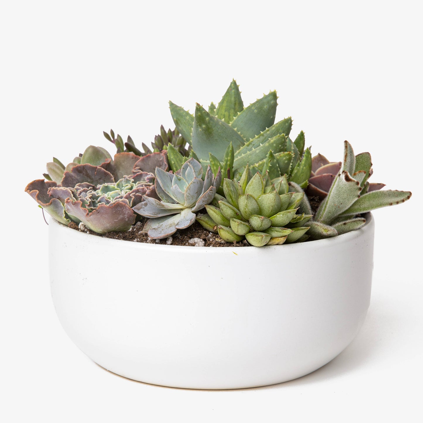 P & P | Ceramic Bowl