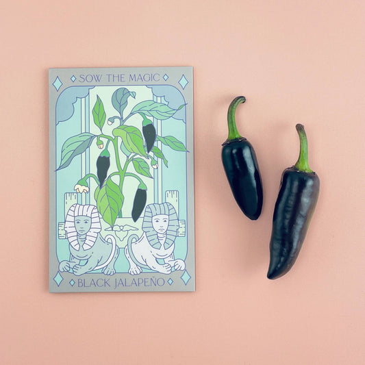 Tarot Card Seeds | Black Hungarian Jalapeño