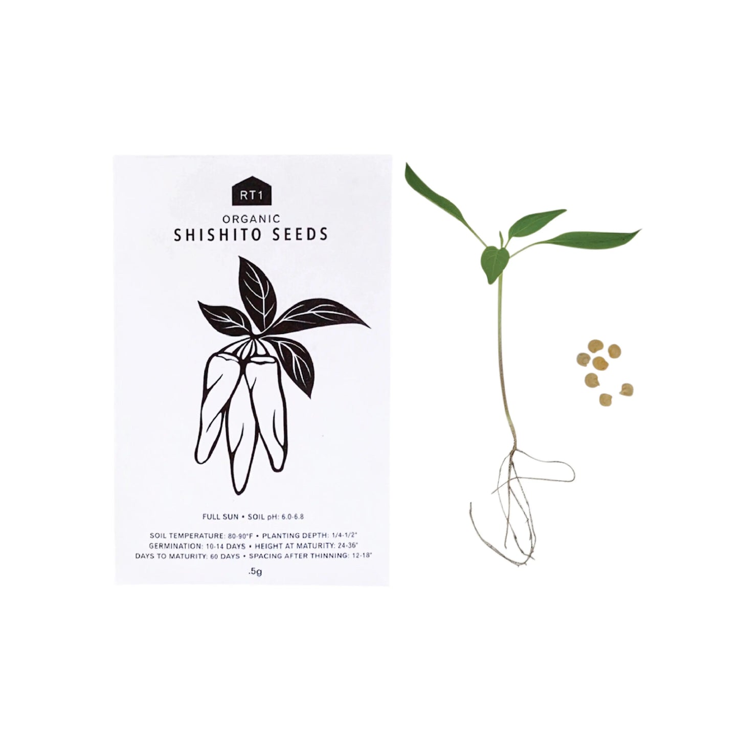 JAPANESE HERB 5 PK | SEEDS