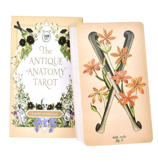 Antique Anatomy Tarot