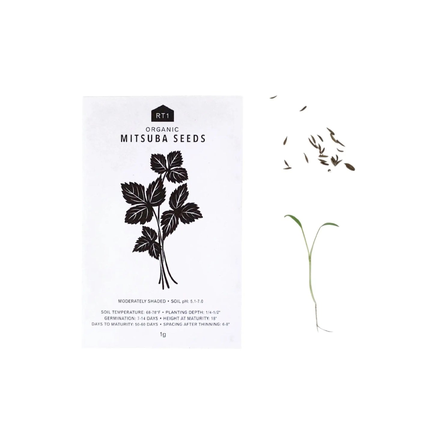 Seeds | JAPANESE HERB 5 PK