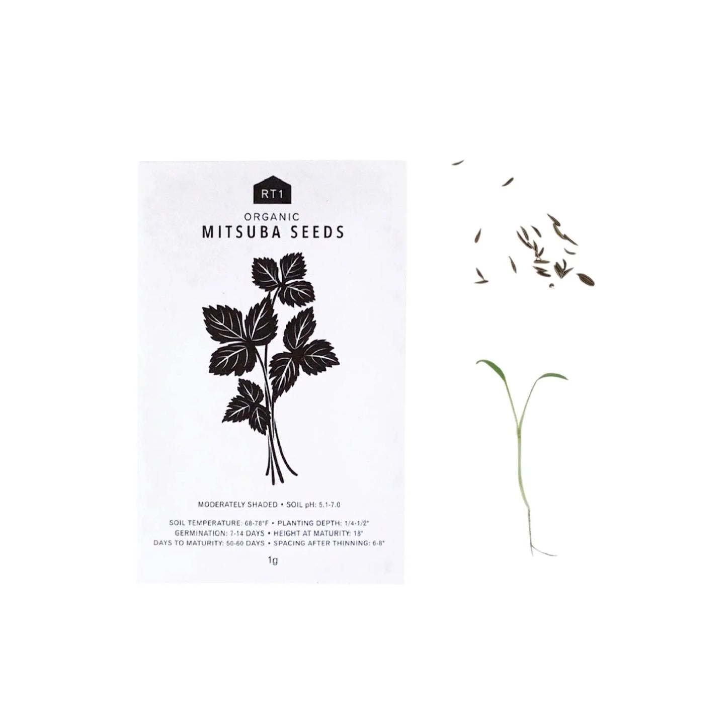 JAPANESE HERB 5 PK | SEEDS